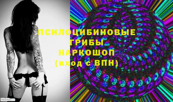 твердый Абаза