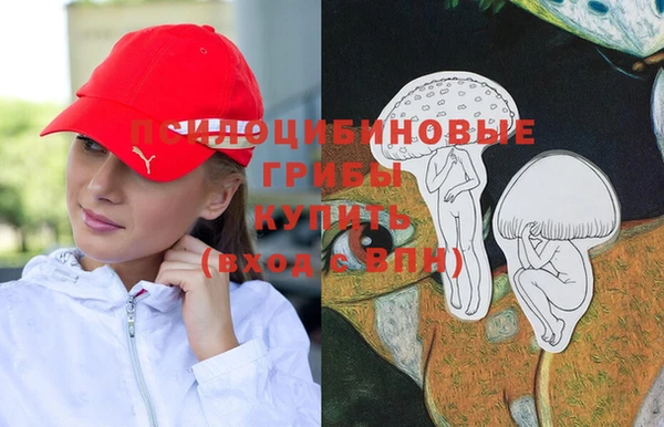 твердый Абаза